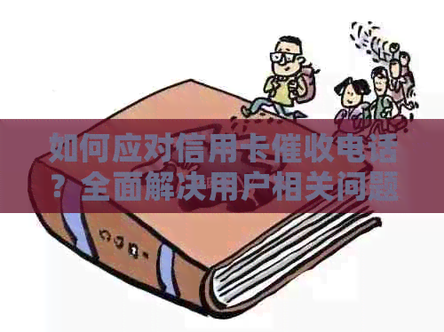 如何应对信用卡电话？全面解决用户相关问题