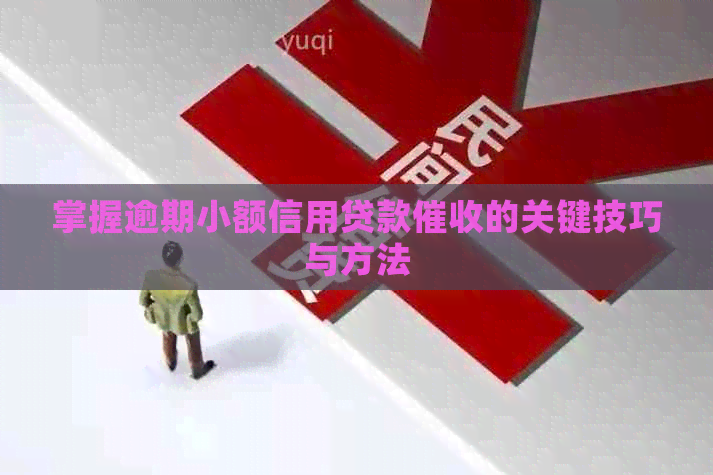 掌握逾期小额信用贷款的关键技巧与方法