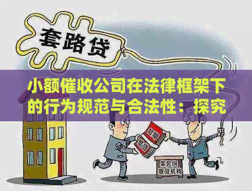 小额公司在法律框架下的行为规范与合法性：探究其背后的复杂问题