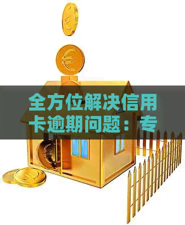 全方位解决信用卡逾期问题：专业服务公司助力银行收回欠款