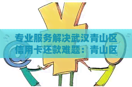 专业服务解决武汉青山区信用卡还款难题：青山区代还信用卡