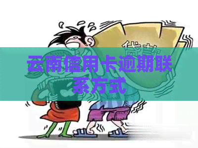 云南信用卡逾期联系方式