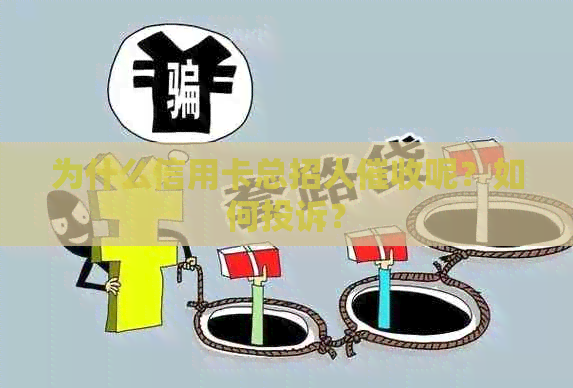 为什么信用卡总招人呢？如何投诉？