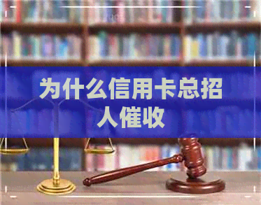 为什么信用卡总招人
