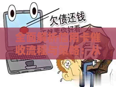 全面解析信用卡流程与策略：从报告角度深入了解用户权益保障与应对方法