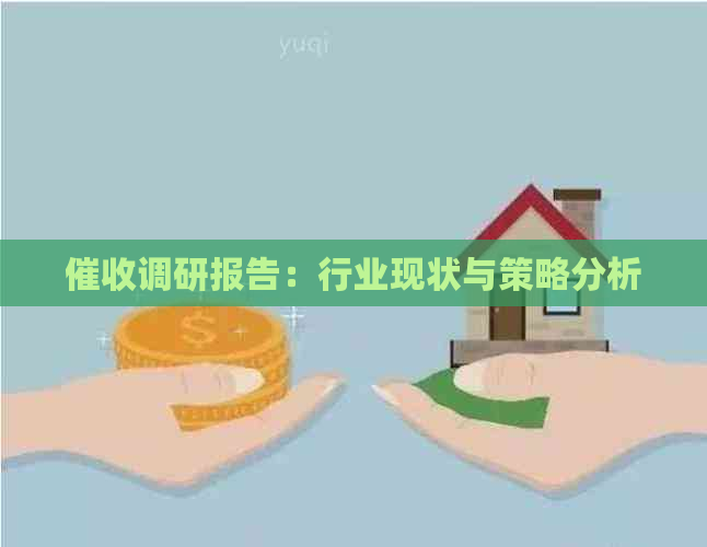 调研报告：行业现状与策略分析