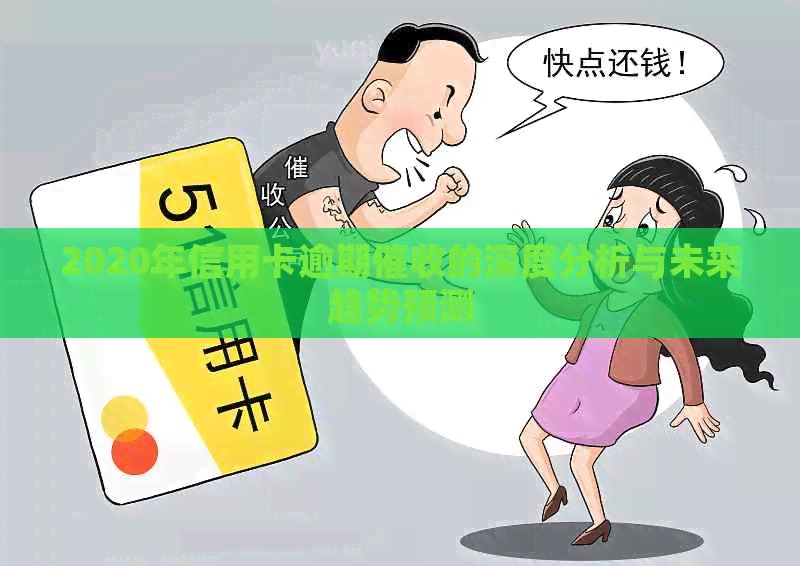 2020年信用卡逾期的深度分析与未来趋势预测