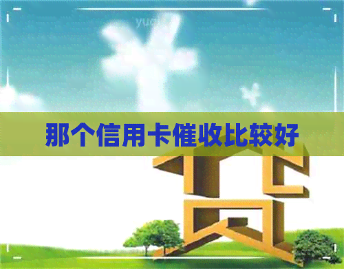 那个信用卡比较好