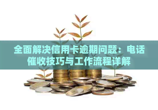 全面解决信用卡逾期问题：电话技巧与工作流程详解