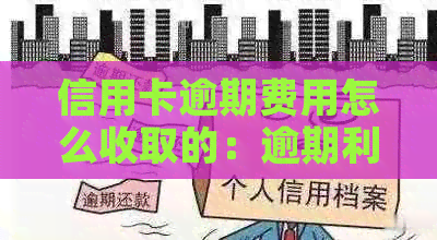 信用卡逾期费用怎么收取的：逾期利息、收取方式、计算方法详解