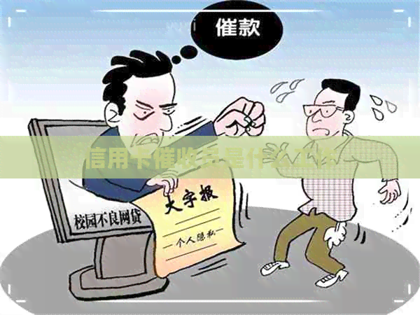 信用卡员是什么工作