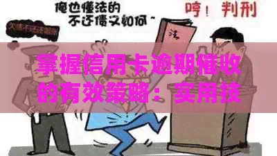 掌握信用卡逾期的有效策略：实用技巧与案例分析