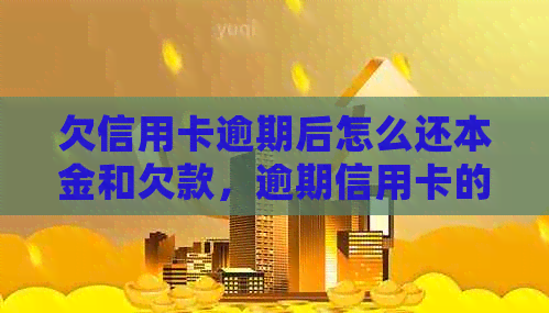 欠信用卡逾期后怎么还本金和欠款，逾期信用卡的处理方式及影响