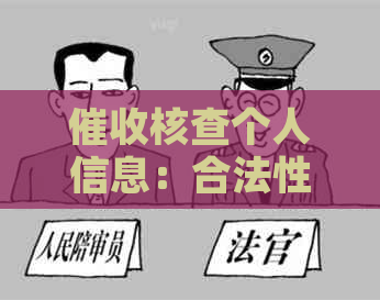 核查个人信息：合法性、真实性和调查的探讨