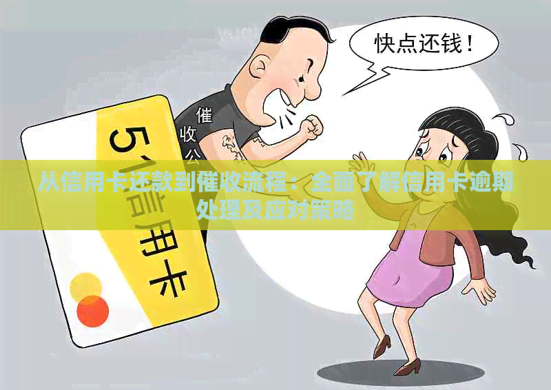 从信用卡还款到流程：全面了解信用卡逾期处理及应对策略