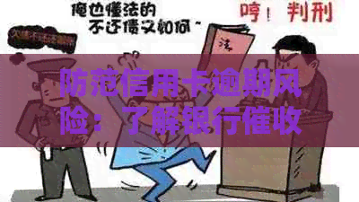 防范信用卡逾期风险：了解银行投诉电话及有效举报方式