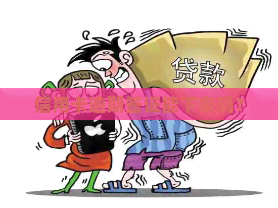 信用卡逾期签证能下来吗？