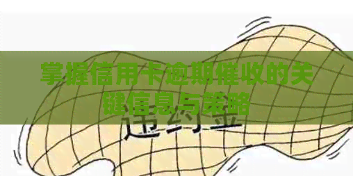 掌握信用卡逾期的关键信息与策略