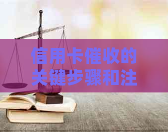 信用卡的关键步骤和注意事项，全面解析债务处理过程