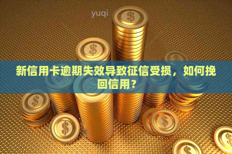 新信用卡逾期失效导致受损，如何挽回信用？