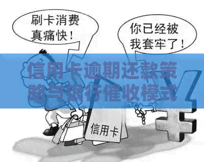 信用卡逾期还款策略与银行模式分析——基于案例的研究