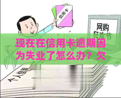 现在在信用卡逾期因为失业了怎么办？欠信用卡逾期失业可以办失业金吗？