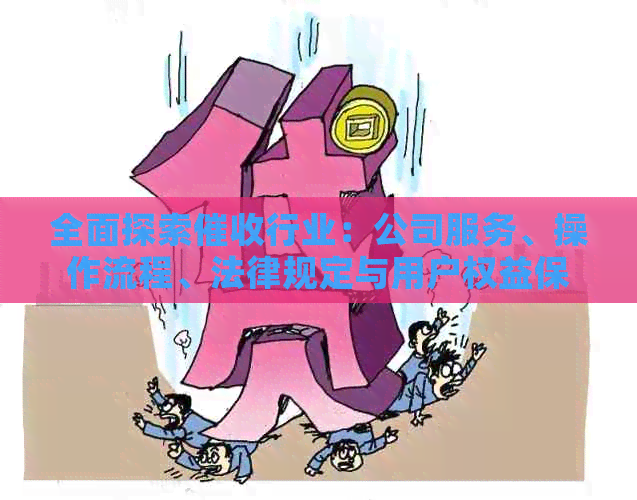 全面探索行业：公司服务、操作流程、法律规定与用户权益保障