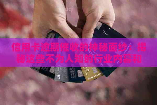 信用卡逾期的神秘面纱：揭秘这些不为人知的行业内幕和应对策略