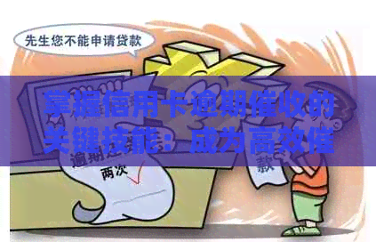 掌握信用卡逾期的关键技能：成为高效员的必备素质