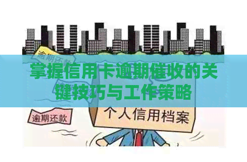 掌握信用卡逾期的关键技巧与工作策略