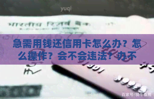 急需用钱还信用卡怎么办？怎么操作？会不会违法？办不了怎么办？