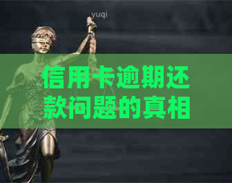 信用卡逾期还款问题的真相：公司是否真的到处打电话？