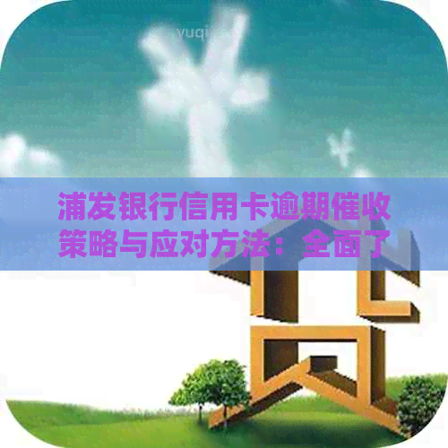 浦发银行信用卡逾期策略与应对方法：全面了解处理流程和应对技巧