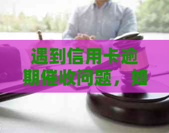 遇到信用卡逾期问题，如何合法合规进行投诉与举报？