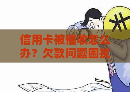 信用卡被怎么办？欠款问题困扰，频繁电话让心力憔悴，如何应对？