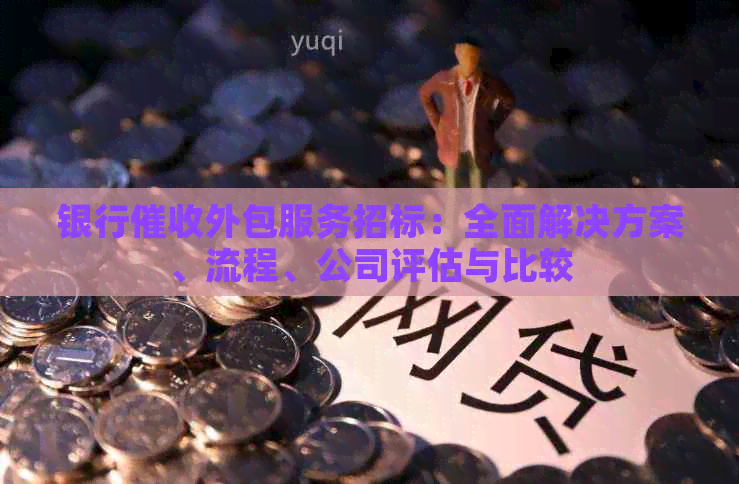 银行外包服务招标：全面解决方案、流程、公司评估与比较