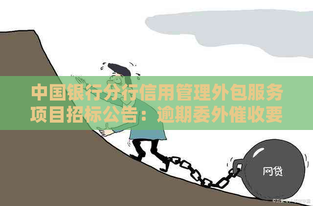 中国银行分行信用管理外包服务项目招标公告：逾期委外要求与细节解析