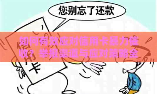 如何有效应对信用卡？举报渠道与应对策略全面解析