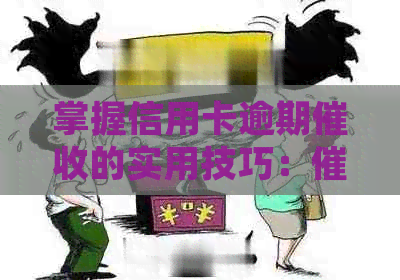 掌握信用卡逾期的实用技巧：专员必备方法与资讯