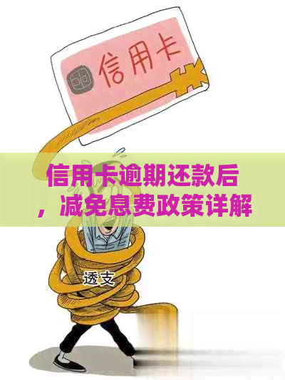 信用卡逾期还款后，减免息费政策详解及实际操作指南