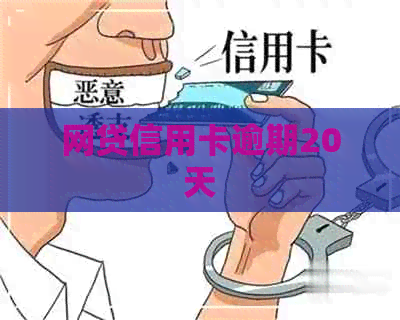 网贷信用卡逾期20天