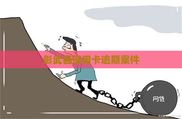 彰武县信用卡逾期案件