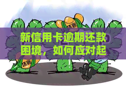 新信用卡逾期还款困境，如何应对起诉风险？