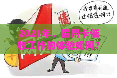 2021年，信用卡工作的体验如何？