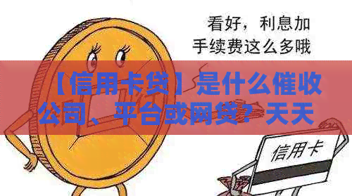 【信用卡贷】是什么公司、平台或网贷？天天发短信来是什么意思？