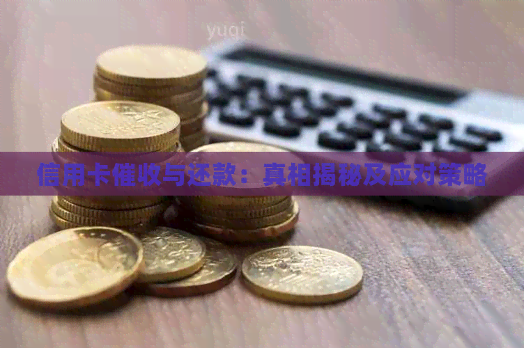 信用卡与还款：真相揭秘及应对策略
