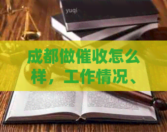 成都做怎么样，工作情况、收入和公司信息详解