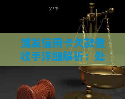 浦发信用卡欠款手详细解析：处理流程与方式全揭秘