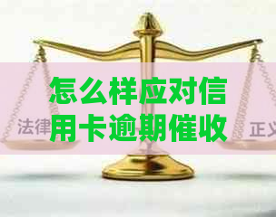 怎么样应对信用卡逾期电话问题