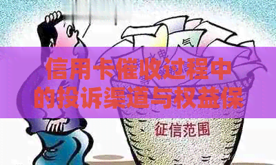 信用卡过程中的投诉渠道与权益保障：详细指南